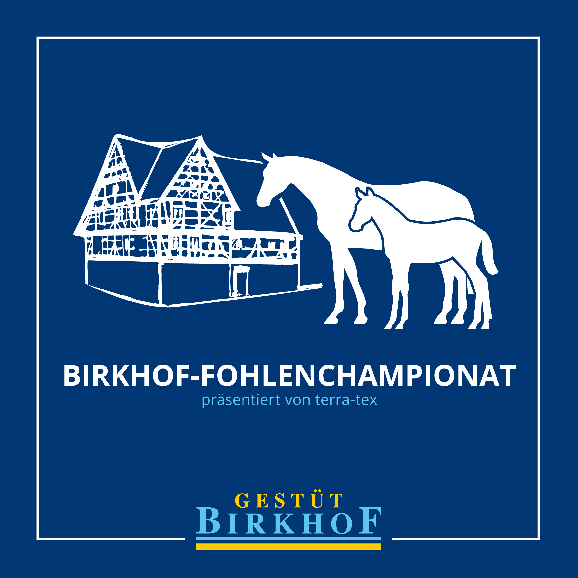 Das 39. Birkhof-Fohlenchampionat wird präsentiert von terra-tex