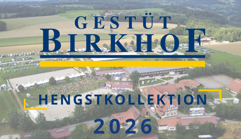 Birkhof-Hengste 2026 – Ein erster Ausblick auf die neue Decksaison