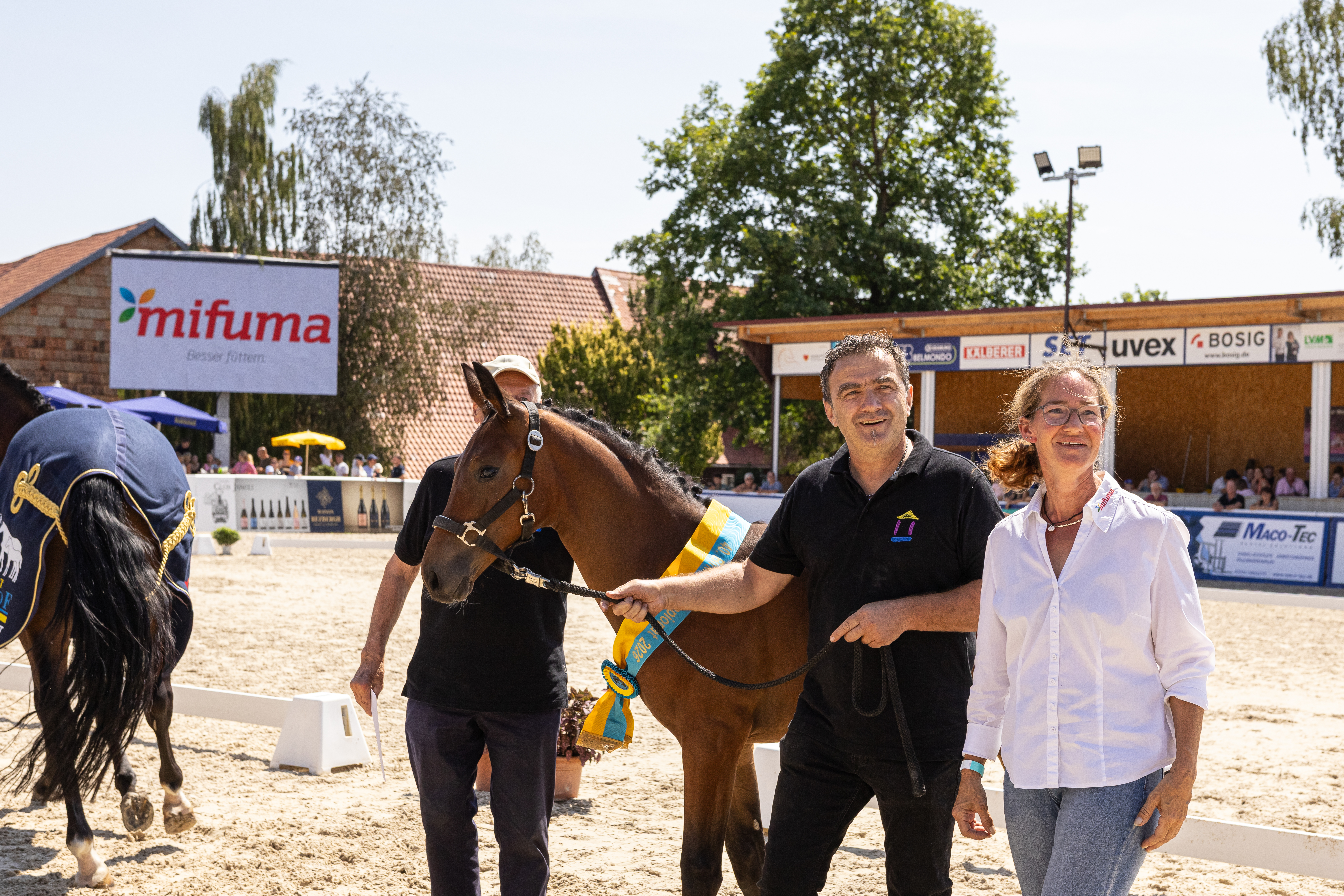 Mifuma-Preis der Stutfohlen Dressur