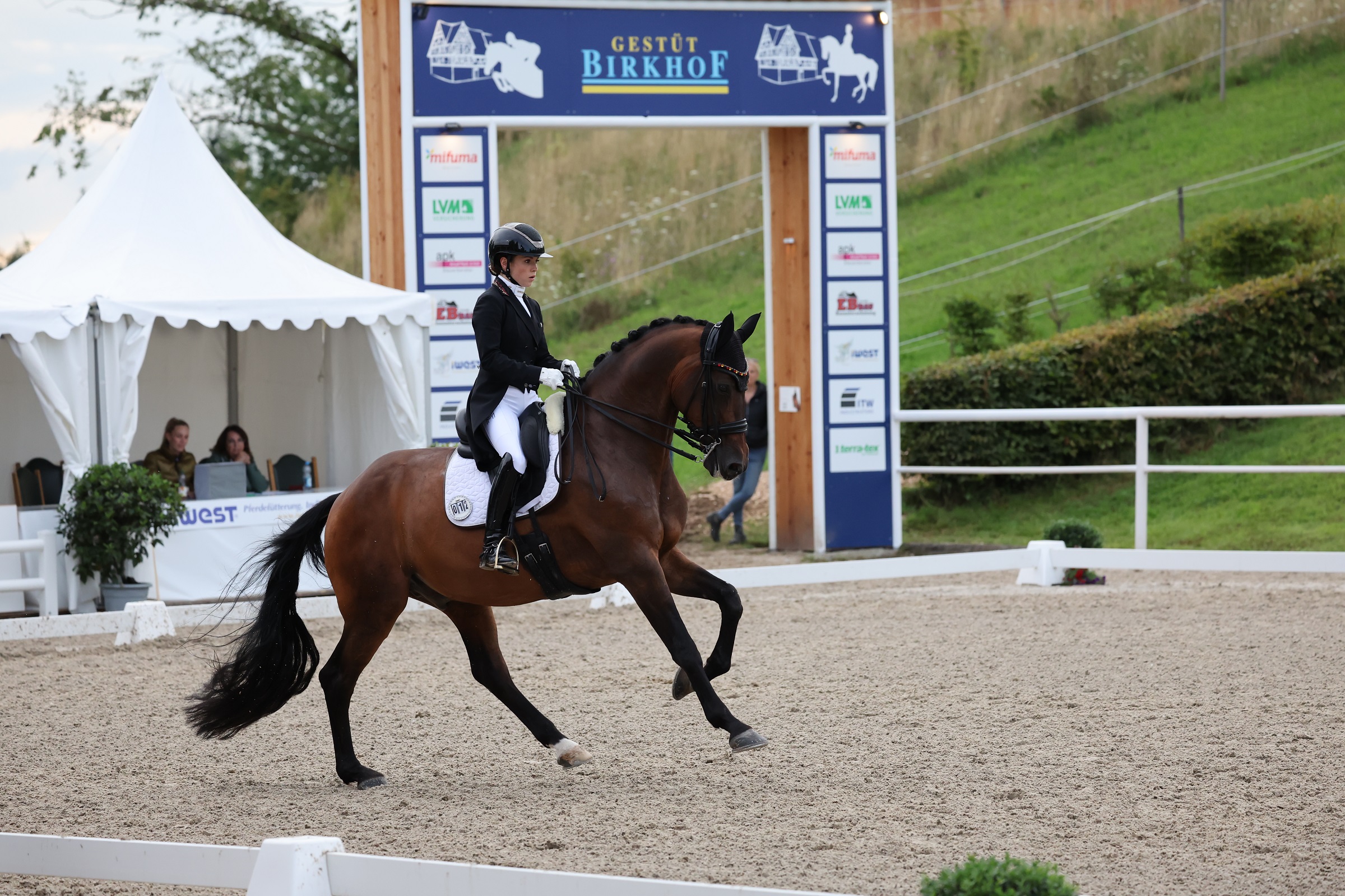 Gestüt Birkhof richtet 2026 erneut Etappen des Louisdor-Preises und iWEST Dressur-Cups aus