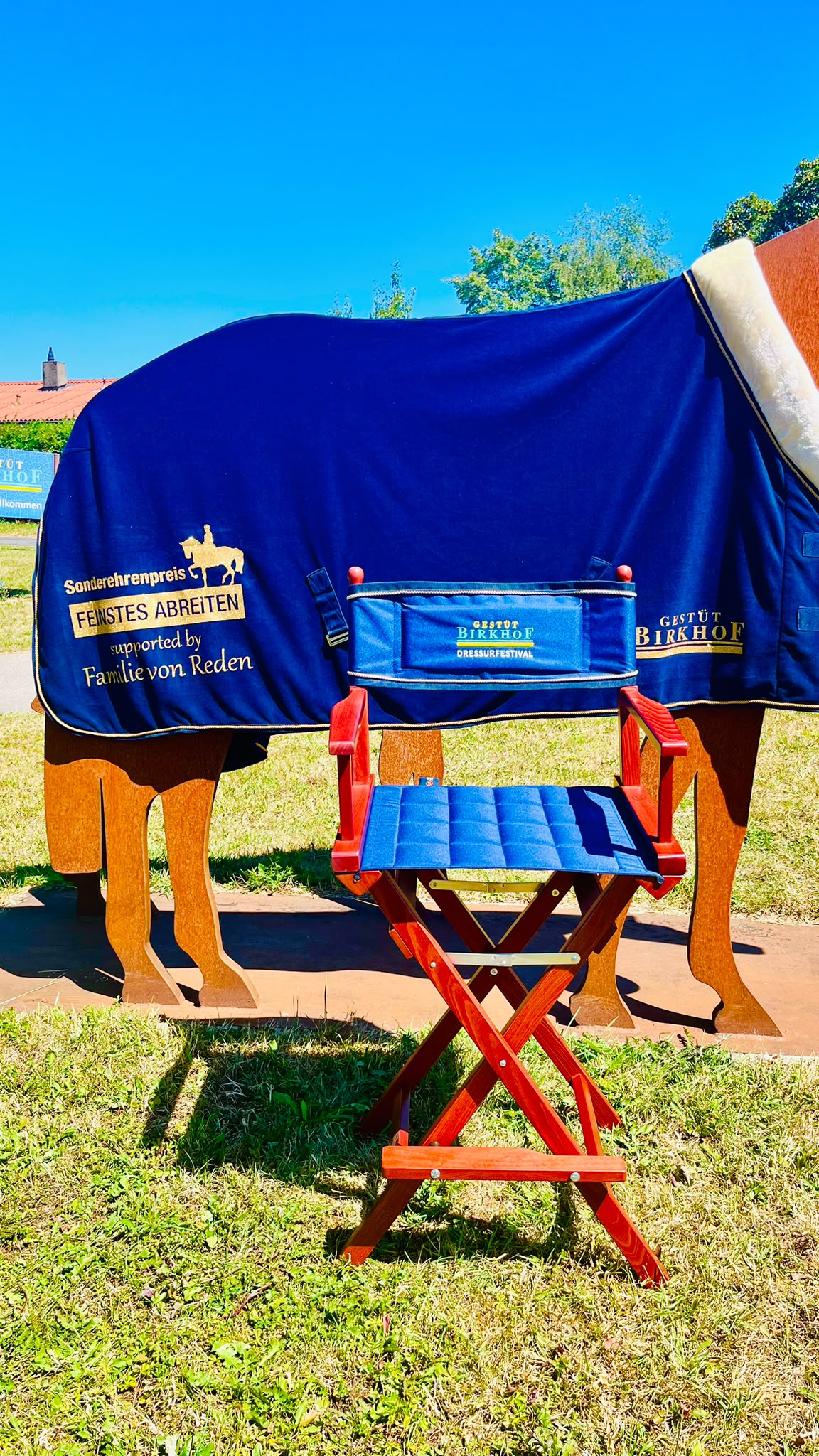 Ehre wem Ehre gebührt – tolle Sonderehrenpreise beim Birkhof-Dressurfestival