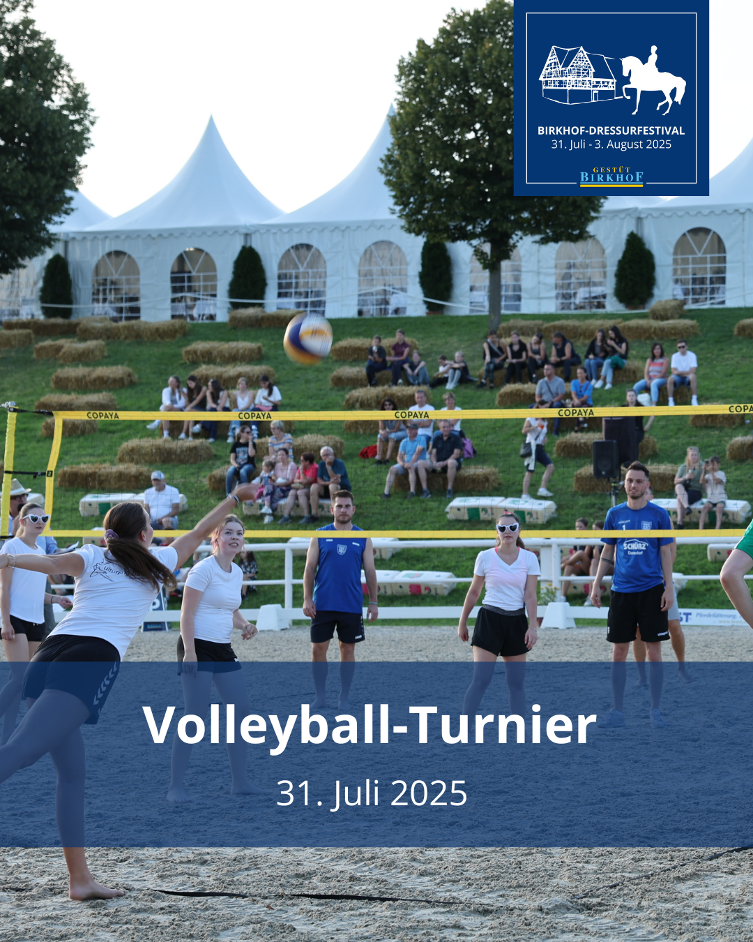 Volleyball-Turnier 2025 
