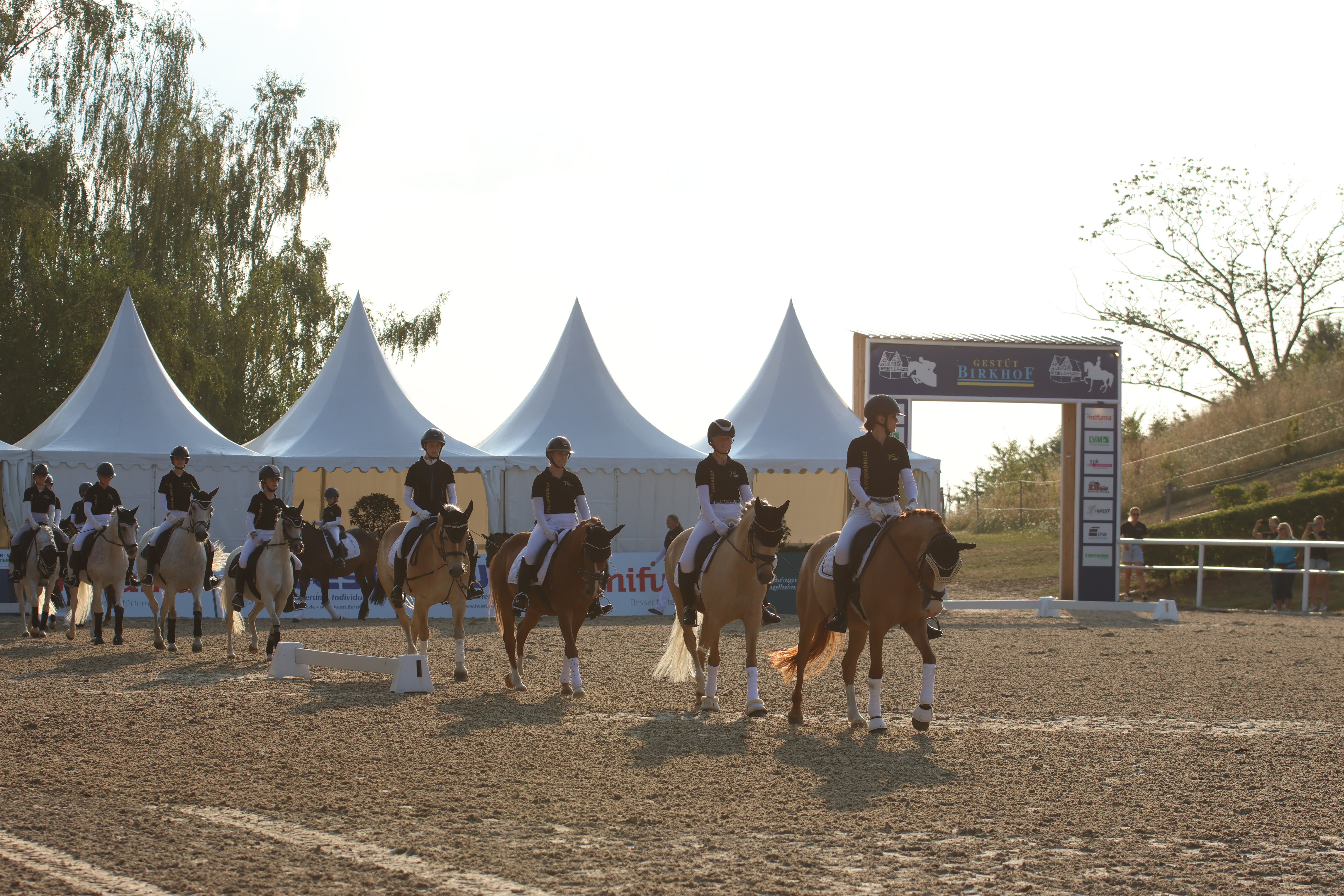 Das war der Showabend beim Birkhof-Dressurfestival 2026