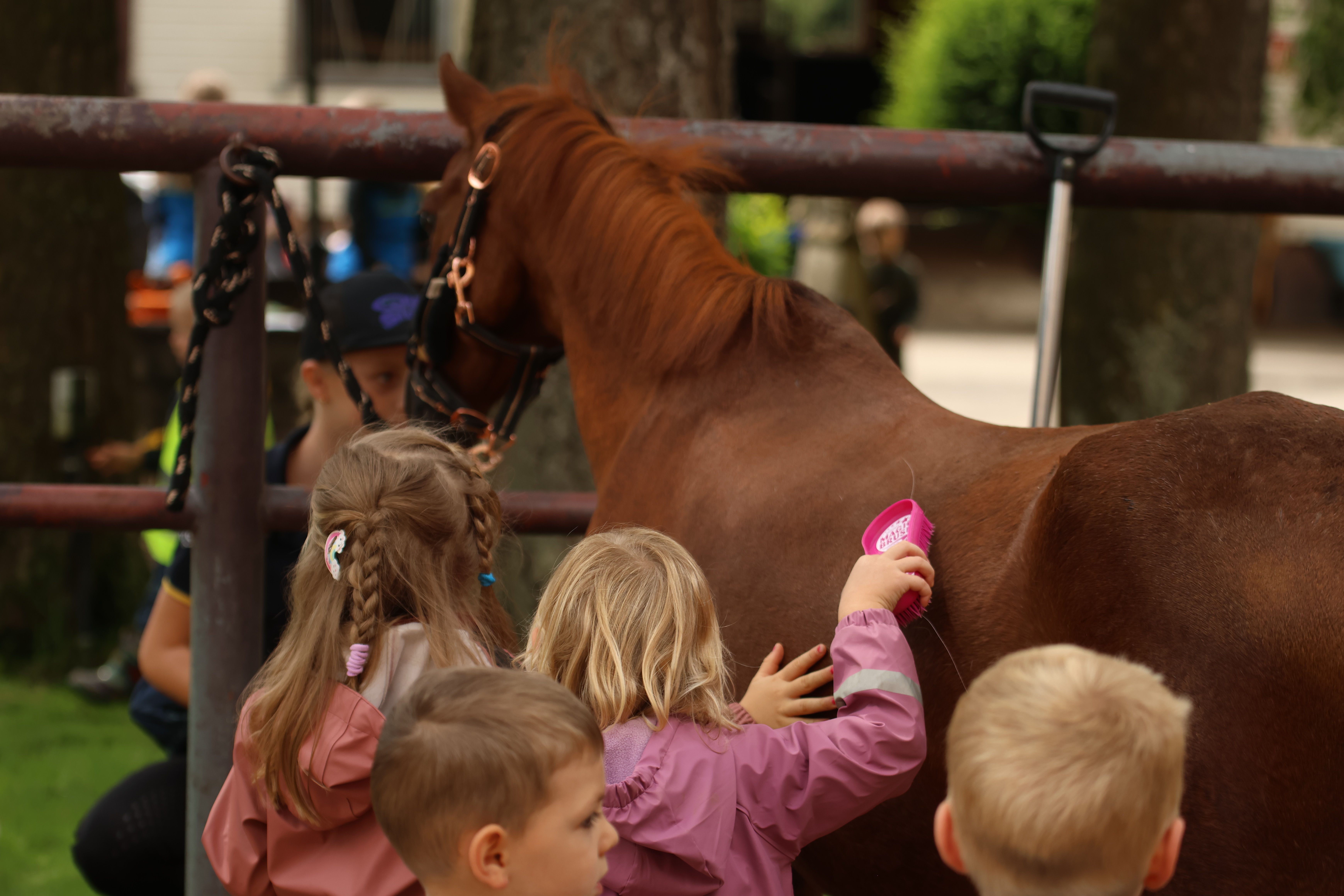 Rund 300 neugierige Kinder aus der Gemeinde Salach durften wir während des Birkhof-Dressurfestivals bei uns begrüßen!